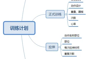  为什么智能分析能帮助教练更好地制定训练计划